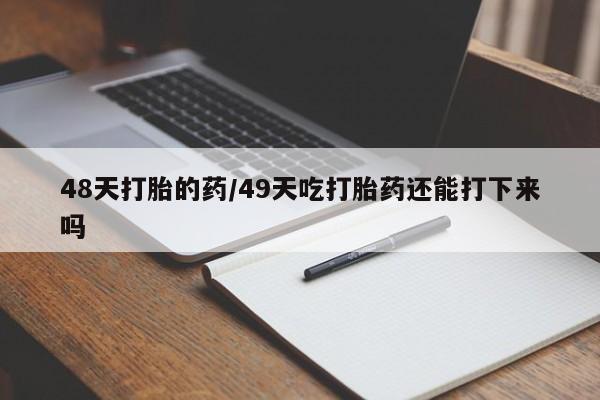 admin 第499页
